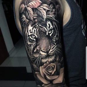 Meet your Posher, Elias